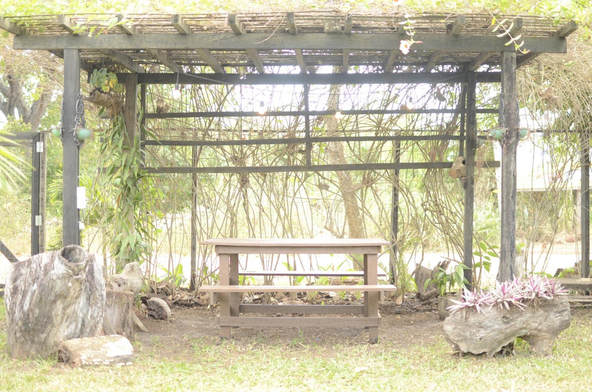 Espaco Saire - Alter do Chão Luaran gambar